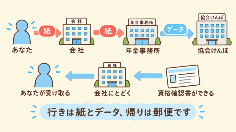 会社から年金事務所と協会けんぽを経て資格確認書が届くまでの流れ