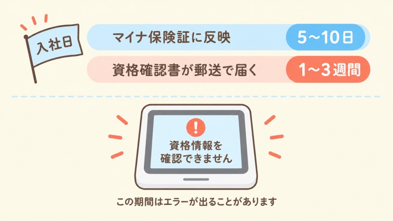 就職直後は健康保険証データの反映に時間がかかることの図解
